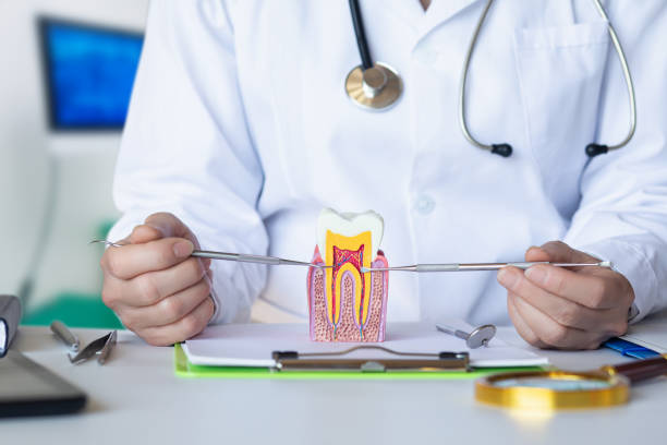 Best Emergency Tooth Extraction in Morgan, UT